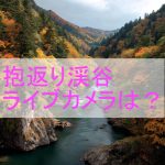 抱返り渓谷 ライブカメラ 抱返り渓谷 ライブカメラ