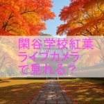 閑谷学校紅葉 ライブカメラで見れる？