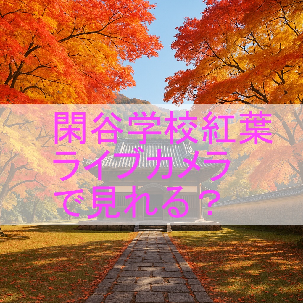 閑谷学校紅葉 ライブカメラで見れる？