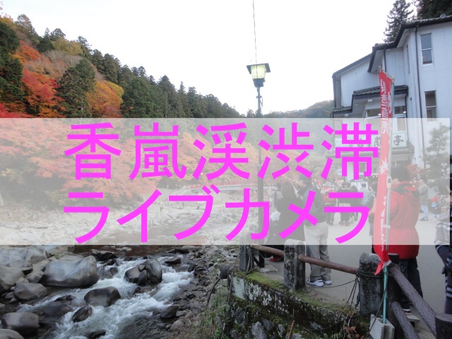 香嵐渓 渋滞のライブカメラ|今日の様子は分かる? 香嵐渓 渋滞のライブカメラ|今日の様子は分かる?